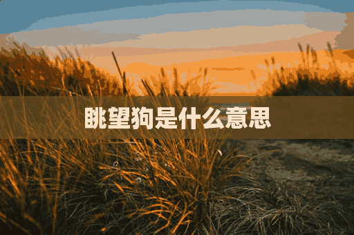 眺望狗是什么意思